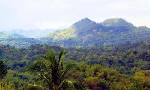 Blue Mountains